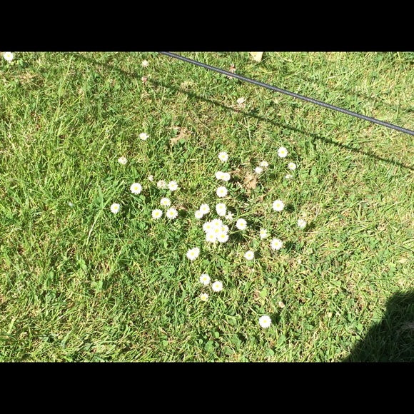 Meet your Posher, Naghmeh - Picture 1 of 1